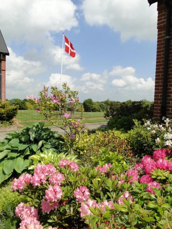 Lyngvej 16 B&B Skanderborg Luaran gambar