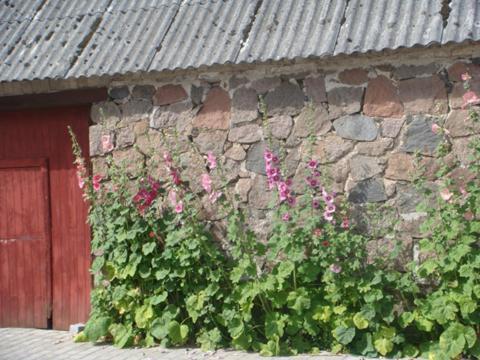 Lyngvej 16 B&B Skanderborg Luaran gambar
